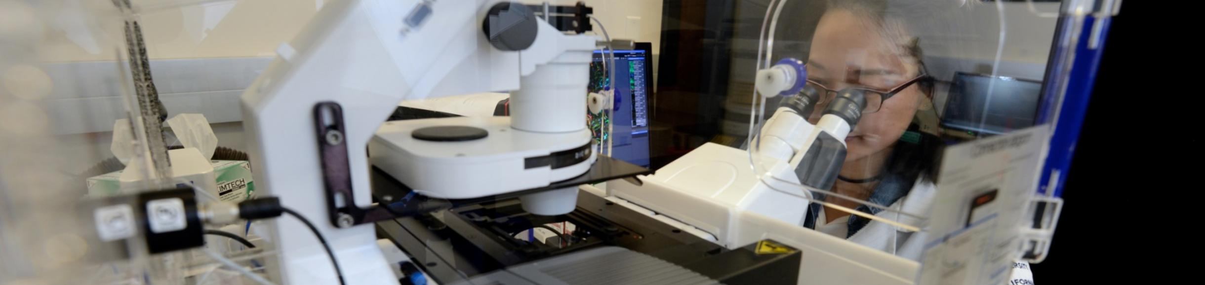 About Translational Projects School of Medicine Center for Molecular